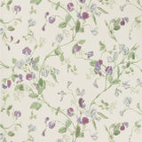 COLE & SON - SWEET PEA- VIOLET - Wallcovering by the Roll