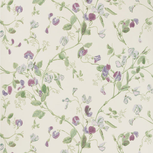 COLE & SON - SWEET PEA- VIOLET - Wallcovering by the Roll VIOLET