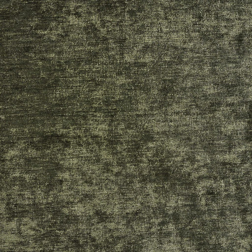 Charlotte - 10150-14 - Fabric by the Yard 10150-14