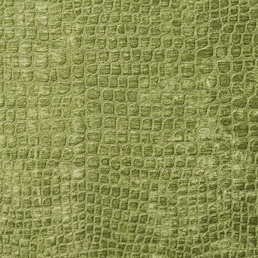 Charlotte - 10151-01 - Fabric by the Yard 10151-01
