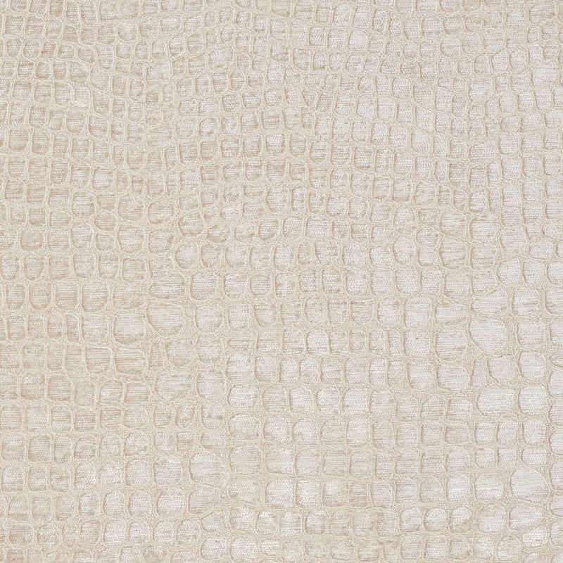 Charlotte - 10151-02 - Fabric by the Yard 10151-02