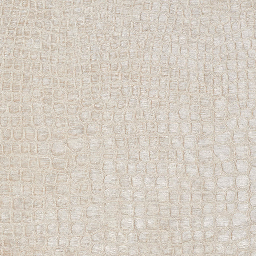 Charlotte - 10151-02 - Fabric by the Yard 10151-02