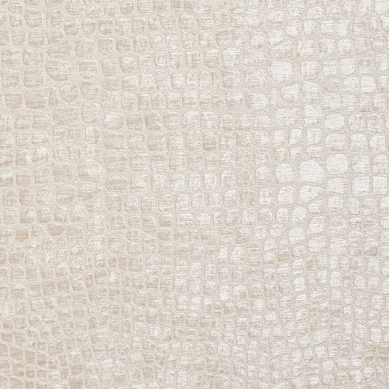 Charlotte - 10151-05 - Fabric by the Yard 10151-05