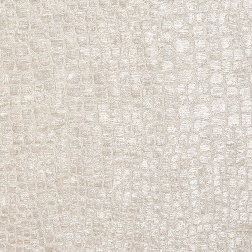 Charlotte - 10151-05 - Fabric by the Yard 10151-05