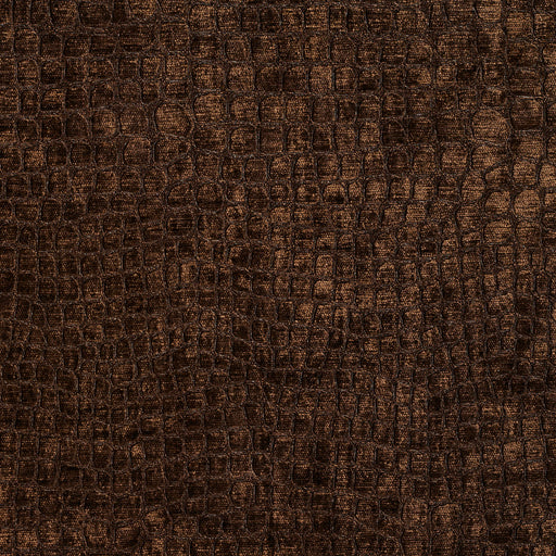 Charlotte - 10151-06 - Fabric by the Yard 10151-06