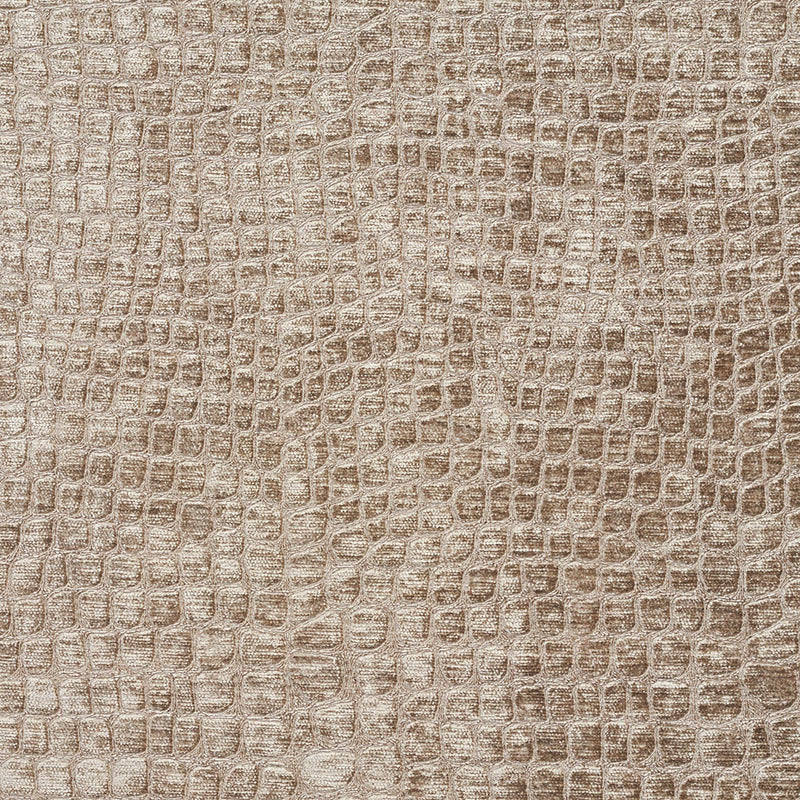 Charlotte - 10151-07 - Fabric by the Yard 10151-07