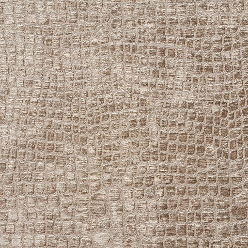 Charlotte - 10151-07 - Fabric by the Yard 10151-07