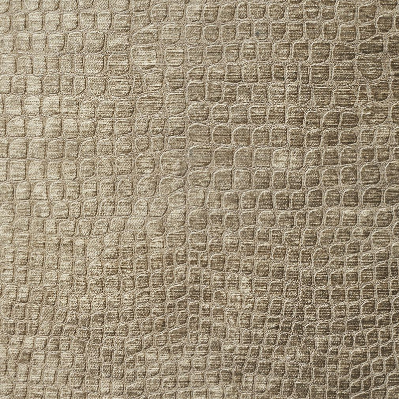 Charlotte - 10151-15 - Fabric by the Yard 10151-15