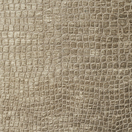 Charlotte - 10151-15 - Fabric by the Yard 10151-15