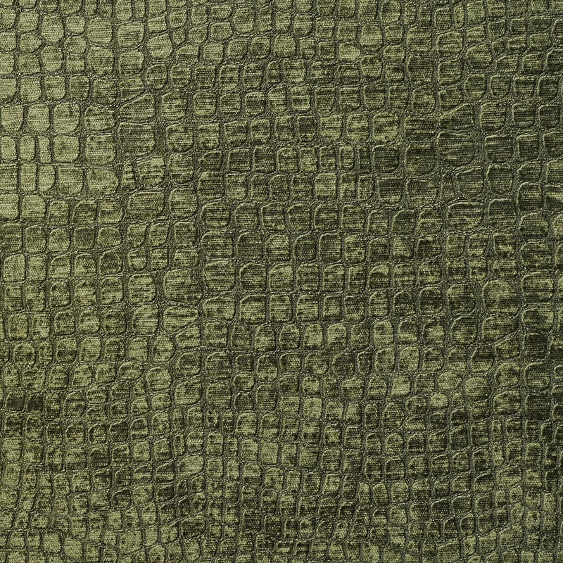 Charlotte - 10151-16 - Fabric by the Yard 10151-16