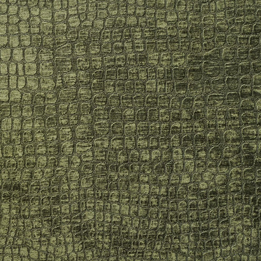 Charlotte - 10151-16 - Fabric by the Yard 10151-16
