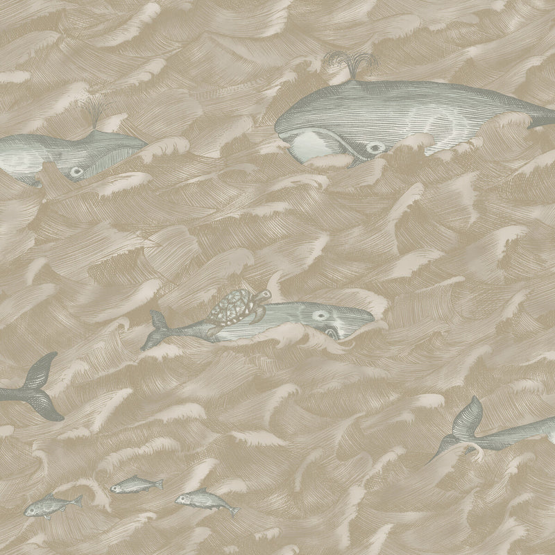 COLE & SON - MELVILLE- PEARL - Wallcovering by the Roll PEARL