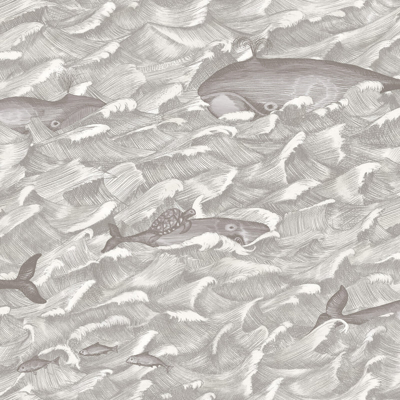 COLE & SON - MELVILLE- SFT BLK&WHT - Wallcovering by the Roll SFT BLK&WHT
