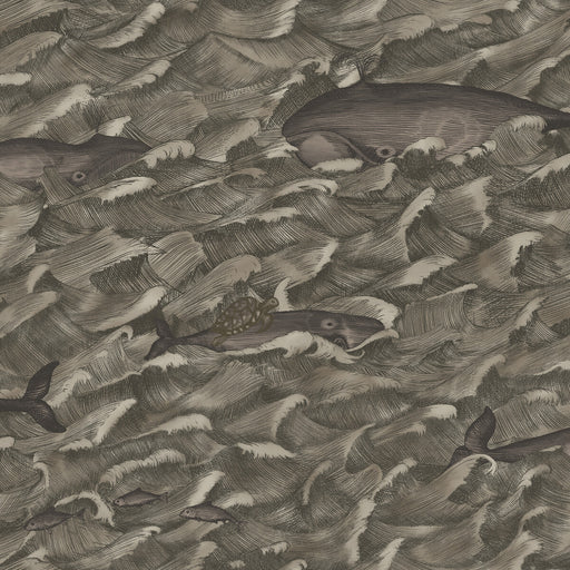 COLE & SON - MELVILLE MT- CHARCOAL - Wallcovering by the Roll CHARCOAL