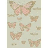 COLE & SON - BUTTERFLIES & DRAGONFLIES- PINK ON OLIV - Wallcovering by the Roll
