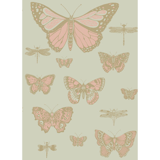 COLE & SON - BUTTERFLIES & DRAGONFLIES- PINK ON OLIV - Wallcovering by the Roll PINK ON OLIV