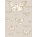 COLE & SON - BUTTERFLIES & DRAGONFLIES- GREY - Wallcovering by the Roll