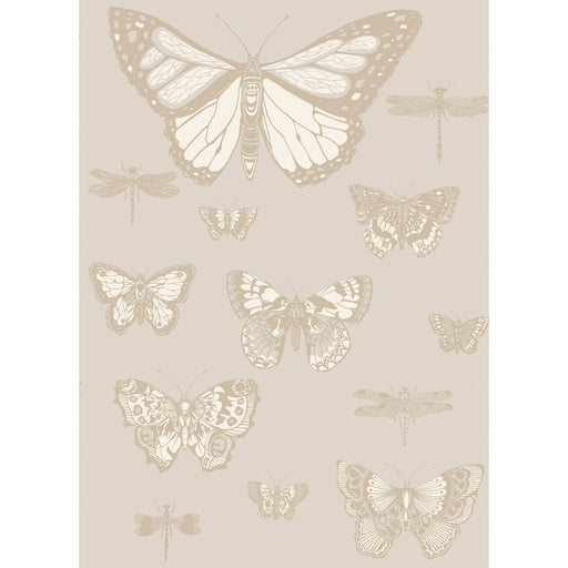 COLE & SON - BUTTERFLIES & DRAGONFLIES- GREY - Wallcovering by the Roll GREY