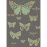COLE & SON - BUTTERFLIES & DRAGONFLIES- GREEN ON CHAR - Wallcovering by the Roll