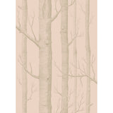 COLE & SON - WOODS- PINK/GILVER - Wallcovering by the Roll