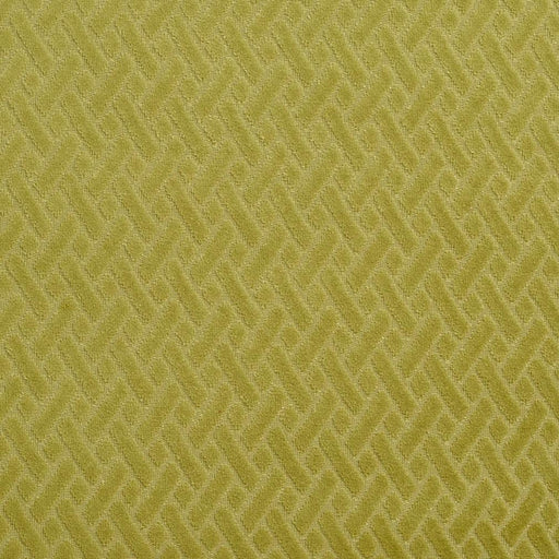 Charlotte - 10420-11 - Fabric by the Yard 10420-11