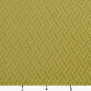 Charlotte - 10420-11 - Fabric by the Yard - 10420-11 - 10420-11_Ruler