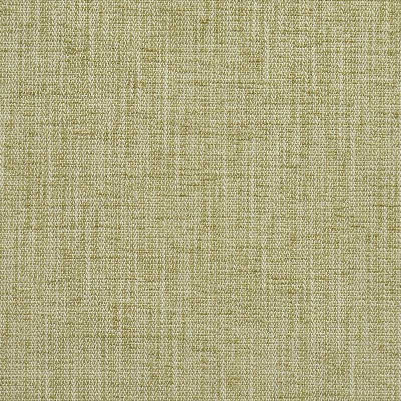 Charlotte - 10430-01 - Fabric by the Yard 10430-01