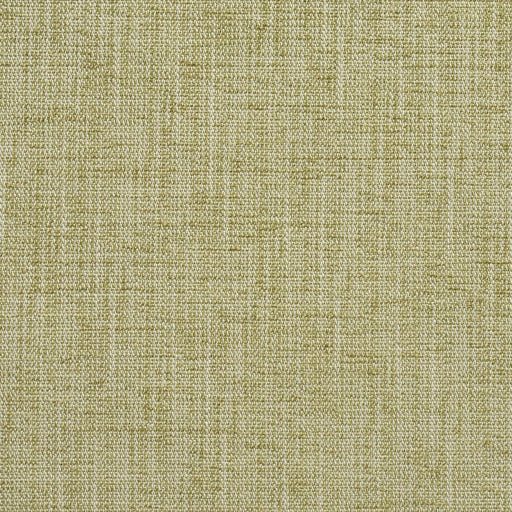 Charlotte - 10430-01 - Fabric by the Yard 10430-01