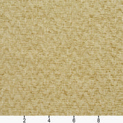 Charlotte - 10450-01 - Fabric by the Yard - 10450-01 - 10450-01_Ruler
