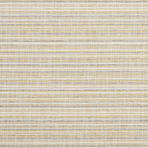 Charlotte - 10460-01 - Fabric by the Yard 10460-01