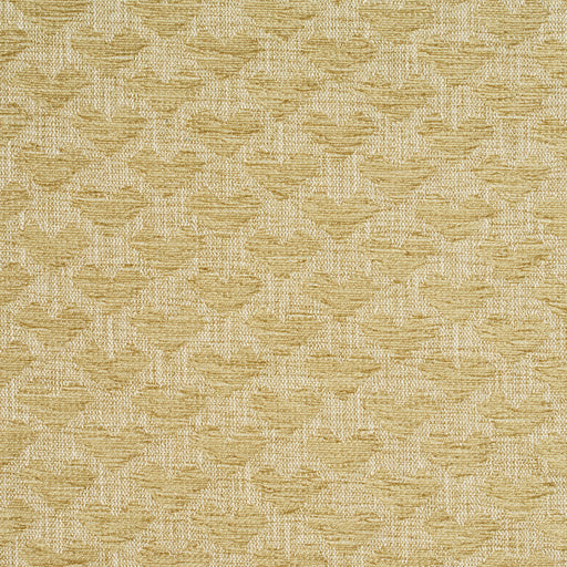 Charlotte - 10470-01 - Fabric by the Yard 10470-01
