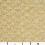 Charlotte - 10470-01 - Fabric by the Yard - 10470-01 - 10470-01_Ruler
