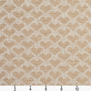 Charlotte - 10470-03 - Fabric by the Yard - 10470-03 - 10470-03_Ruler