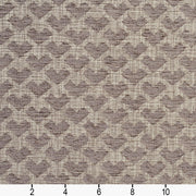 Charlotte - 10470-11 - Fabric by the Yard - 10470-11 - 10470-11_Ruler