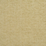 Charlotte - 10480-01 - Fabric by the Yard