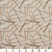 Charlotte - 10570-04 - Fabric by the Yard - 10570-04 - 10570-04_Ruler