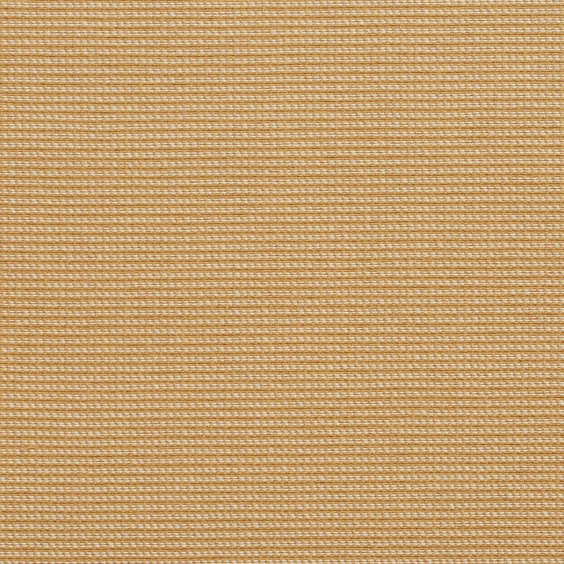 Charlotte - 10600-01 - Fabric by the Yard 10600-01