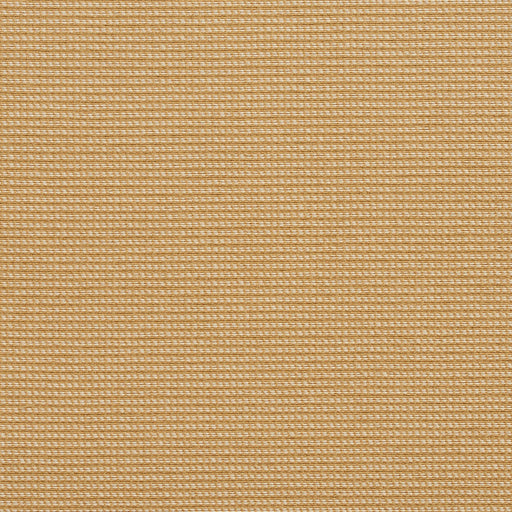 Charlotte - 10600-01 - Fabric by the Yard 10600-01