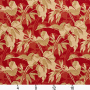 Charlotte - 10660-01 - Fabric by the Yard - 10660-01 - 10660-01_Ruler