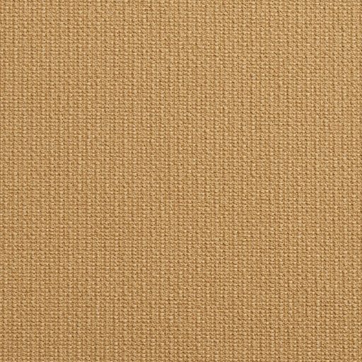 Charlotte - 10670-01 - Fabric by the Yard 10670-01