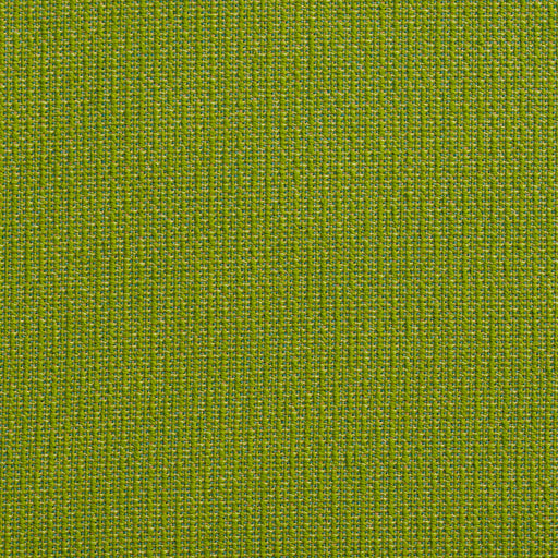 Charlotte - 10670-03 - Fabric by the Yard 10670-03