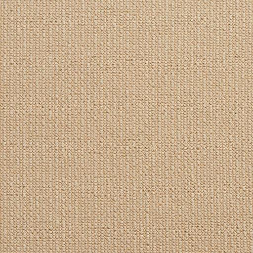 Charlotte - 10670-05 - Fabric by the Yard 10670-05