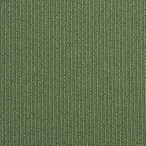 Charlotte - 10670-07 - Fabric by the Yard 10670-07
