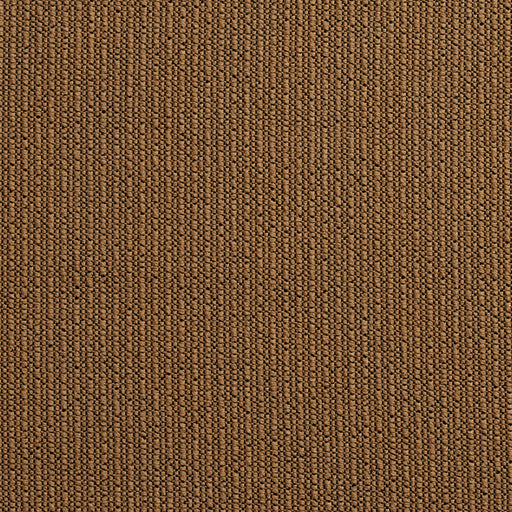 Charlotte - 10670-08 - Fabric by the Yard 10670-08