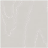 COLE & SON - WATERED SILK- GREY - Wallcovering by the Roll
