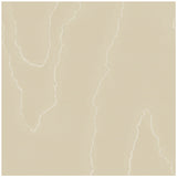 COLE & SON - WATERED SILK- FAWN - Wallcovering by the Roll