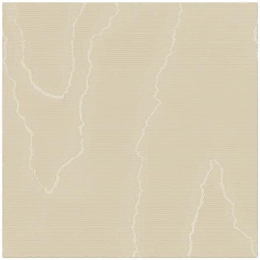 COLE & SON - WATERED SILK- FAWN - Wallcovering by the Roll FAWN