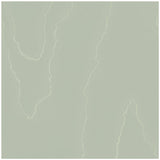 COLE & SON - WATERED SILK- SAGE - Wallcovering by the Roll
