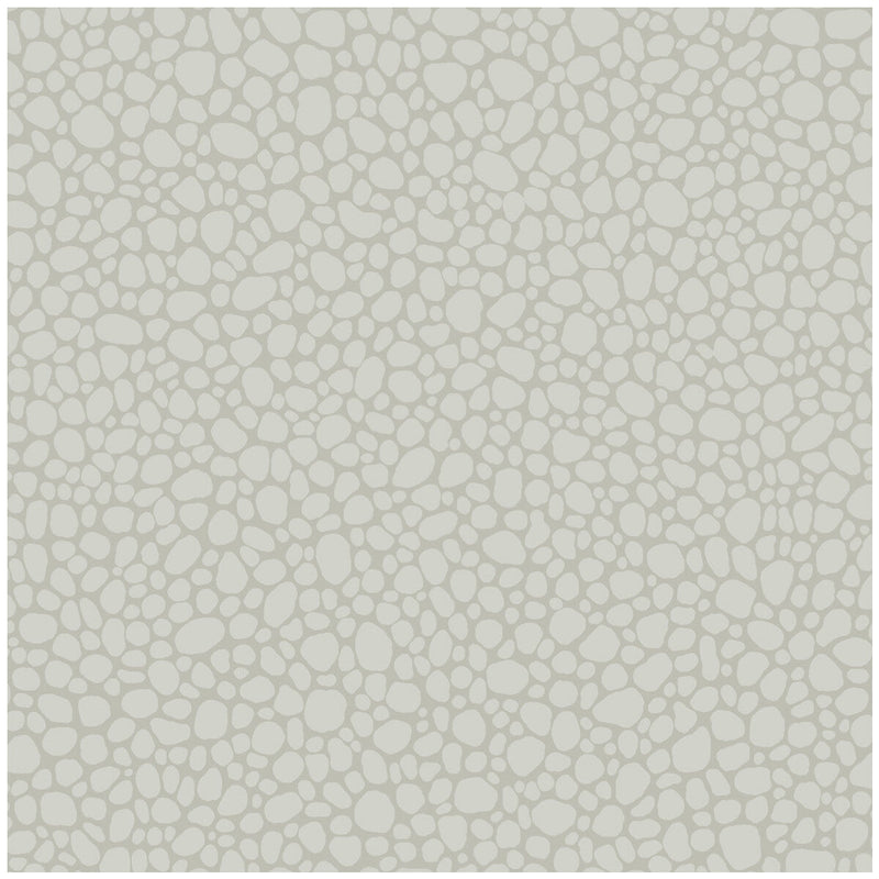 COLE & SON - PEBBLE- PALE GREY - Wallcovering by the Roll PALE GREY