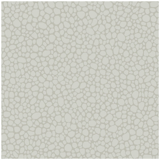 COLE & SON - PEBBLE- PALE GREY - Wallcovering by the Roll PALE GREY